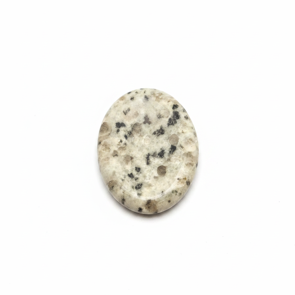 Dalmatian Jasper palm stone on clean white background showing creamy white oval stone with black speckled spots
