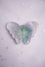 Rainbow Fluorite Butterfly - top down, pale purple stars