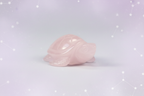Rose Quartz Turtle - side front, pale purple stars