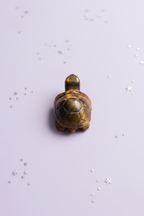 Tiger's Eye Turtle - image 4, pale purple stars