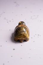 Tiger's Eye Turtle - image 5, pale purple stars