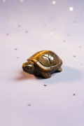 Tiger's Eye Turtle - side front, pale purple stars