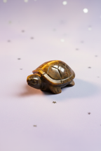 Tiger's Eye Turtle - side front, pale purple stars