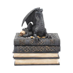 Dragon's Hoard Book Box - side view showing dragon with skull and gold coins