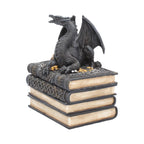Dragon's Hoard Book Box - front three-quarter view showing dragon facing forward