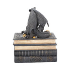 Dragon's Hoard Book Box - opposite side view showing Celtic knotwork spine