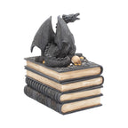 Dragon's Hoard Book Box - front view showing dragon coiled over hoard
