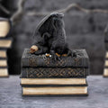 Dragon's Hoard Book Box - moody library lifestyle shot