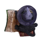 Witchy Black Cat Spell Book Figurine - close up of face and amber eyes under hat