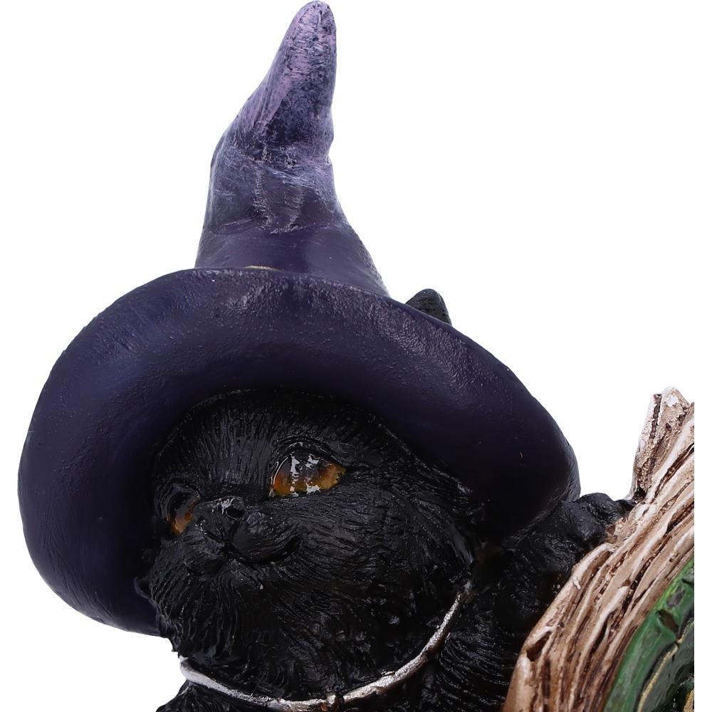 Witchy Black Cat Spell Book Figurine - close up of green spell book cover with pentagram and gold lettering