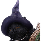 Witchy Black Cat Spell Book Figurine - close up of green spell book cover with pentagram and gold lettering