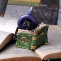 Witchy Black Cat Spell Book Figurine - lifestyle shot rear view on open book pages