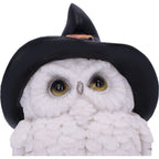 Witchy White Owl Figurine - close up of face showing golden amber eyes