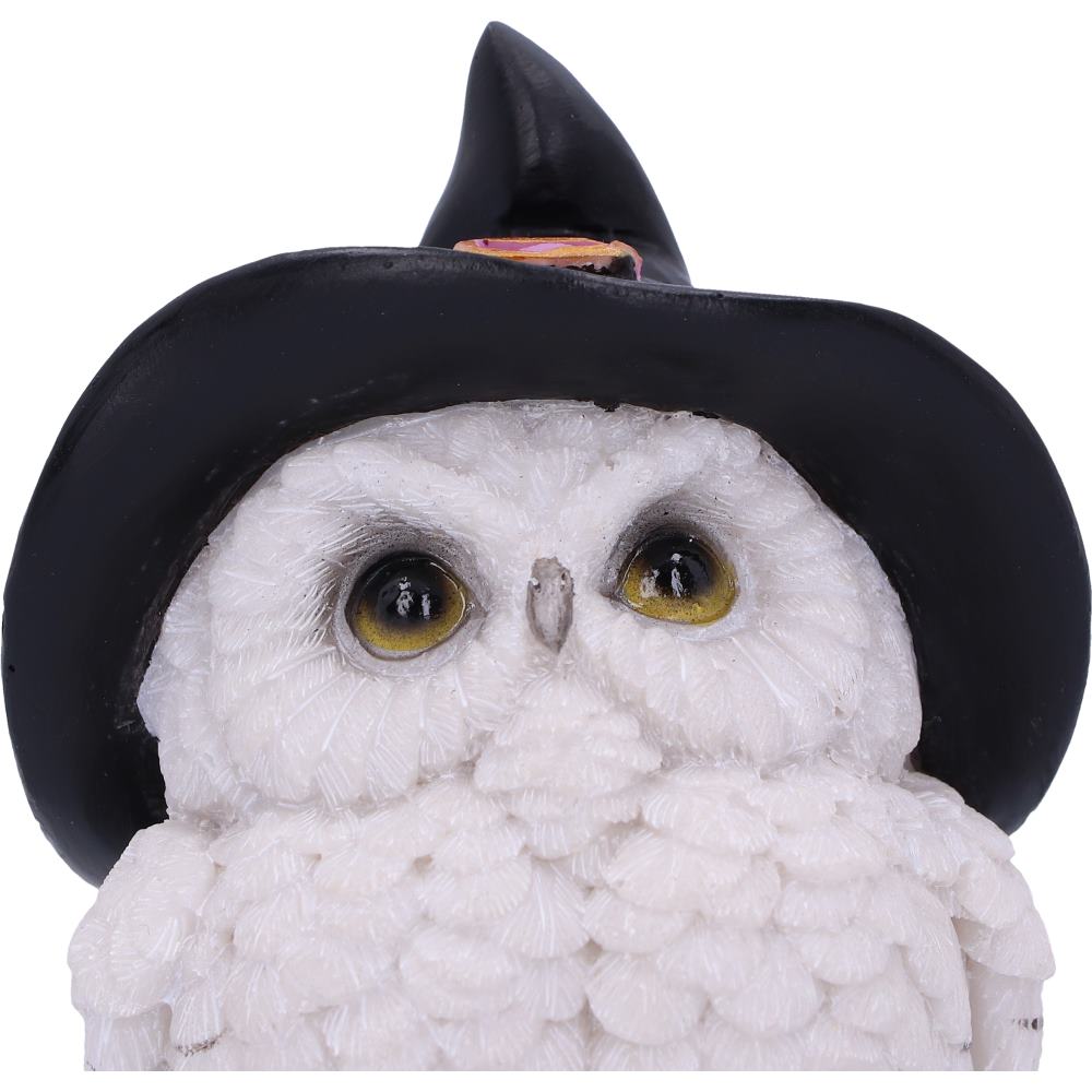 Witchy White Owl Figurine - close up of face showing golden amber eyes