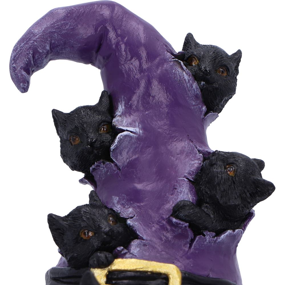 Close-up of black cats peering through torn witch hat
