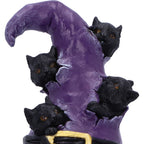 Close-up of black cats peering through torn witch hat