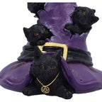 Close-up of front cat wearing gold pentagram necklace