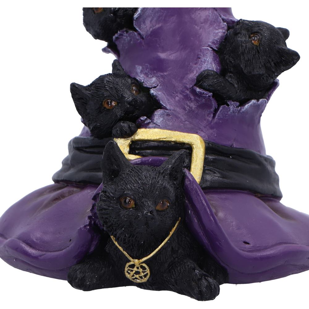 Close-up of front cat wearing gold pentagram necklace