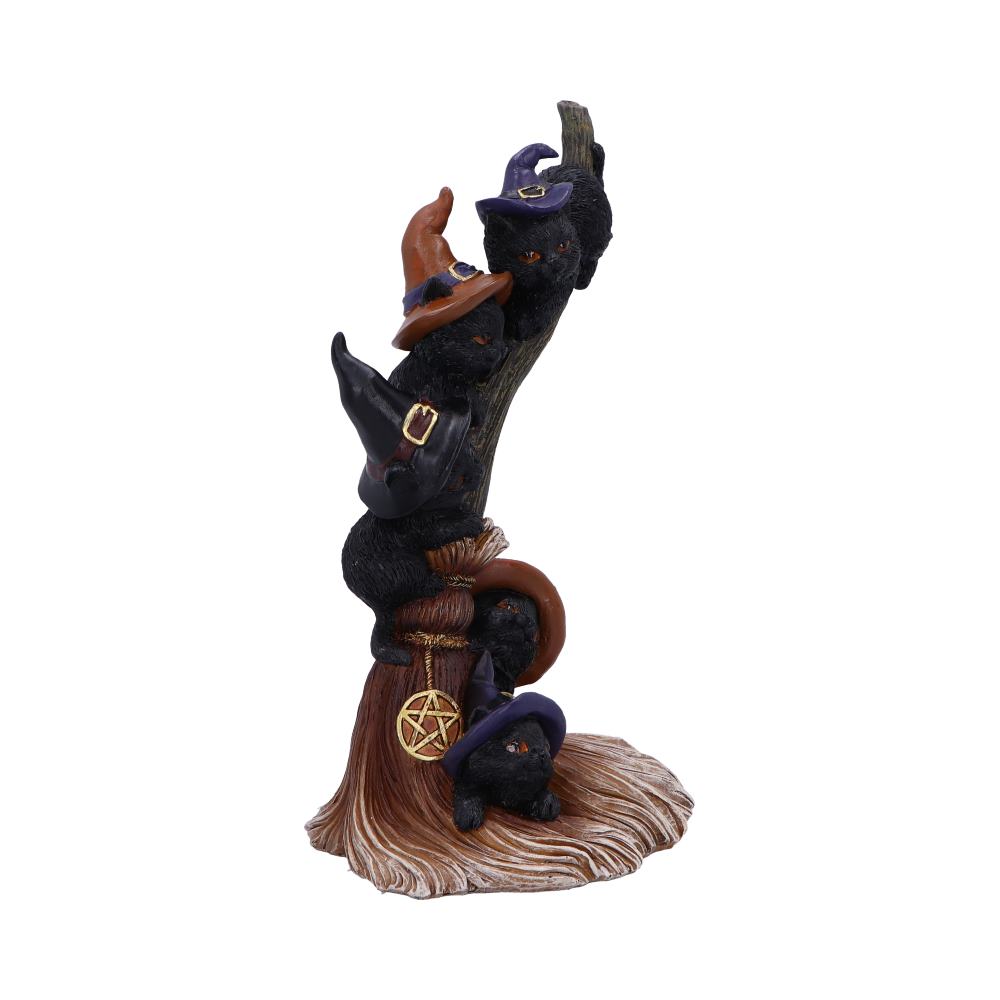 Close-up of cats in witch hats climbing broomstick handle