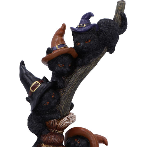 Close-up of lower cats and gold pentagram broom charm