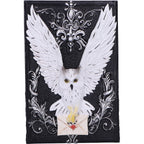 White owl trinket box open showing plain black interior