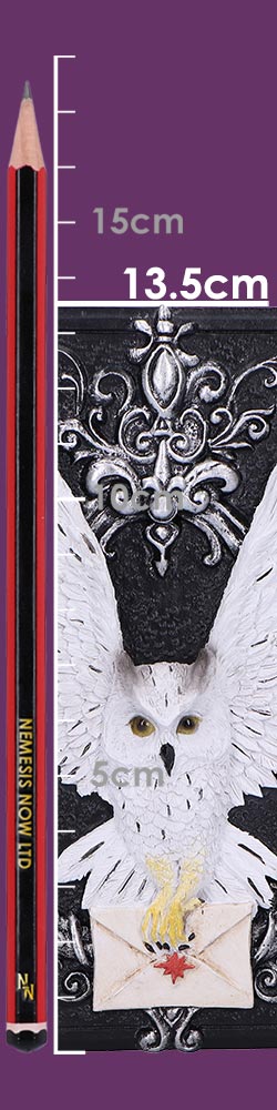 Size guide showing white owl trinket box is 13.5cm tall
