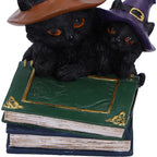 Witch kittens spell books figurine styled in Halloween moonlit scene
