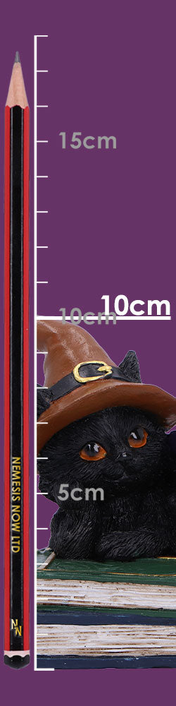 Size guide showing witch kittens figurine is 10cm tall