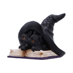 Witch hat kittens figurine rear view showing hat and book base