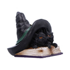Close-up of two black kittens with amber eyes under witch hat