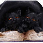 Close-up of kitten paws resting on open spell book pages