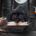 Witch hat kittens figurine front view showing full piece