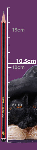 Size guide showing witch hat kittens figurine is 10.5cm tall