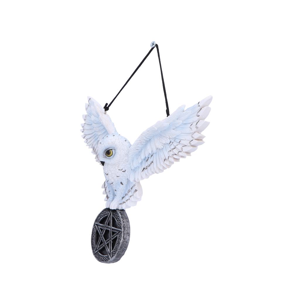 White owl pentagram wall hanging front view wings spread