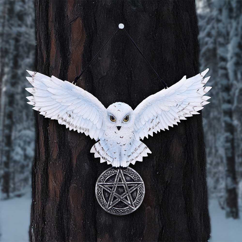 White owl pentagram wall hanging full view on white background