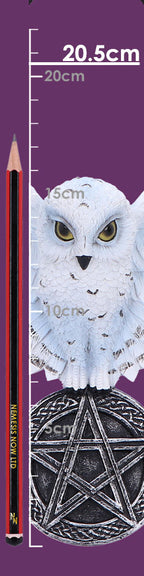 Size guide showing white owl pentagram wall hanging is 20.5cm tall